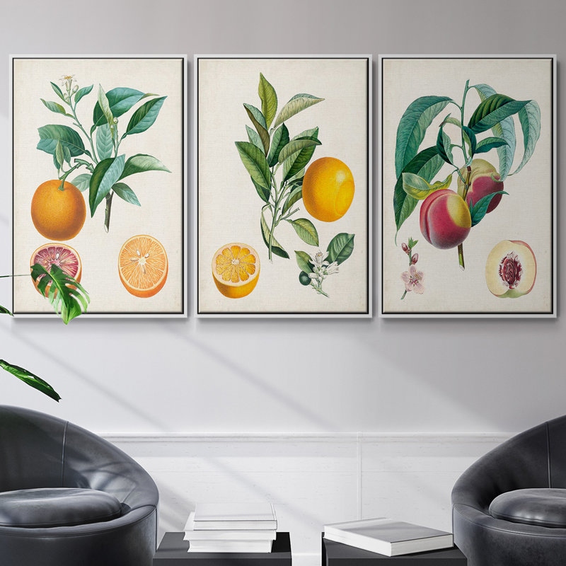 Orange de Malte, 3 pièces, H 36 po x l 72 po, Blanc