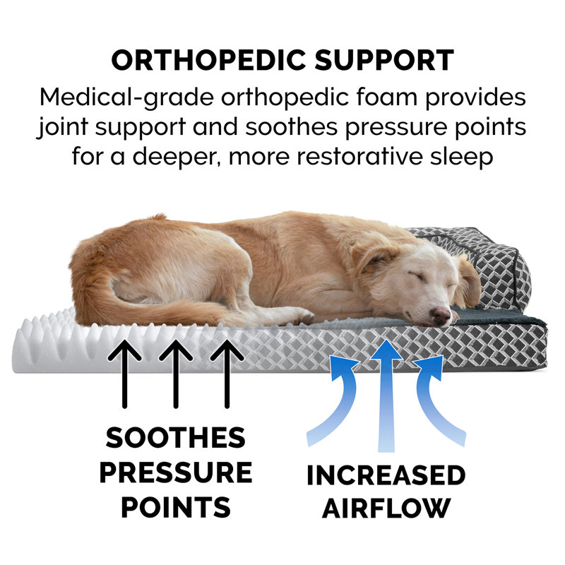 Diamond Gray Jumbo Orthopedic Foam Sofa-Style Dog Bed
