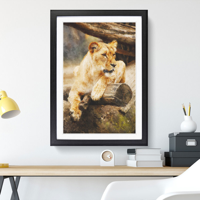 Lioness - Picture Frame Graphic Art, Black Framed, 48cm H x 36cm W x 2cm D
