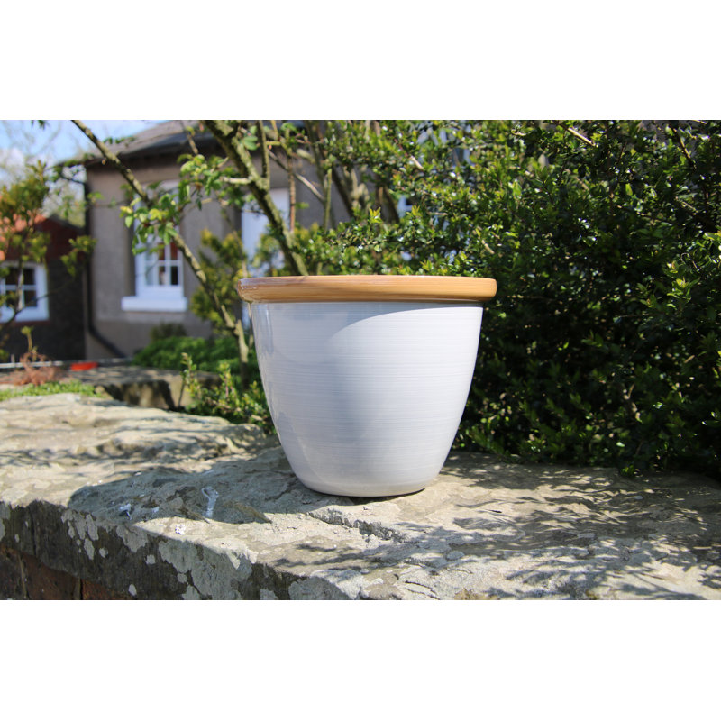 Sundhya Pot Planter, Cream/Beige Gloss, 9.5 x 12 x 12
