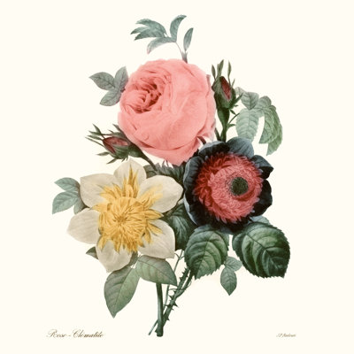 Blushing Bouquet II by Pierre Redoute - Wrapped Canvas Painting