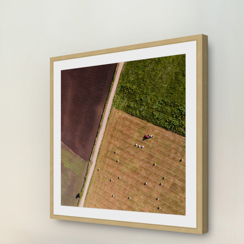 Single Picture Frame Print, 51 cm H x 51 cm W x 3.81 cm D