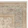 Lyniya Performance Oriental Rug