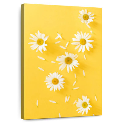 Harnek camomille sur jaune