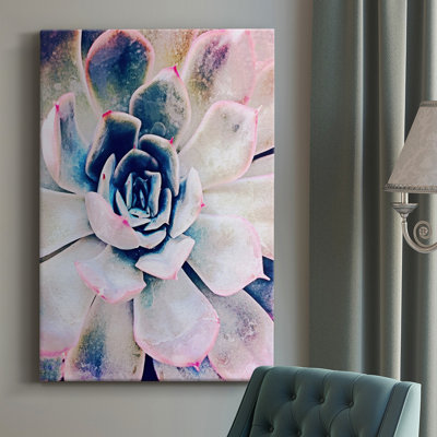 Pastel Succulent Beauty II - Photographie sur toile tendue