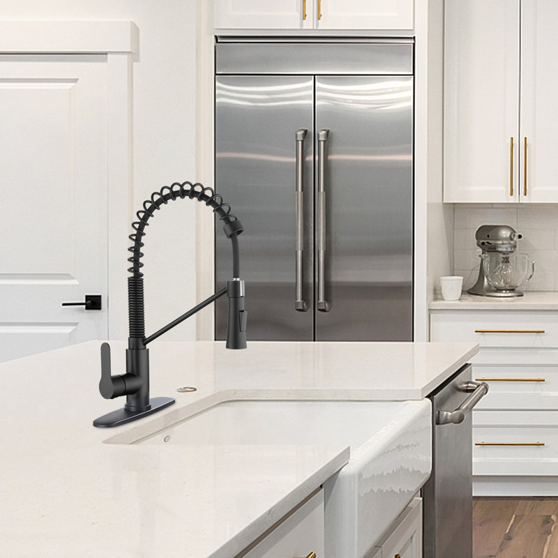 Mason&Mia Pull Down Kitchen Faucet