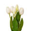 Vickerman 16"H Plum Tulip Bundle of 5.-1404122192