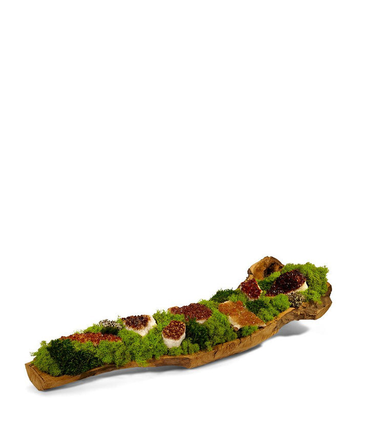 8'' Moss Plant in Wood Planter T&C Floral Company