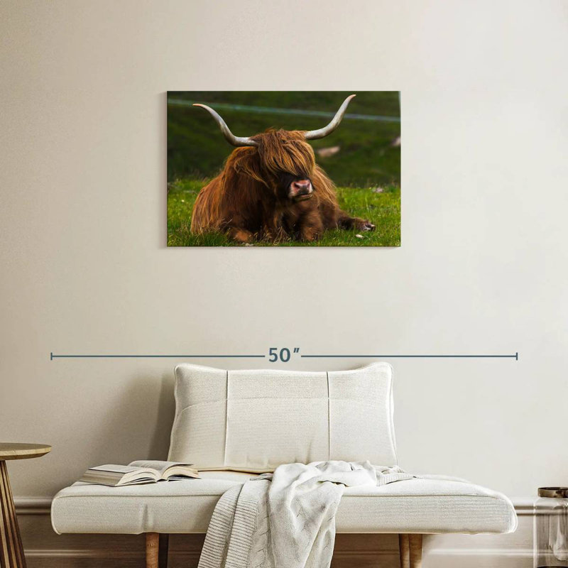 Highland Cow On Grass, 20" H x 30" W