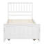 Lit simple avec lit gigogne, blanc - Bois massif robuste pour un lit gigogne gigogne dans une chambre spacieuse-141858173