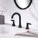 Reesley 8 in. Widespread 2-Handle Bathroom Faucet