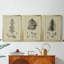 Arbor Study II - Toile tendue avec châssis sur mesure - 3 pièces-883568190-883568191