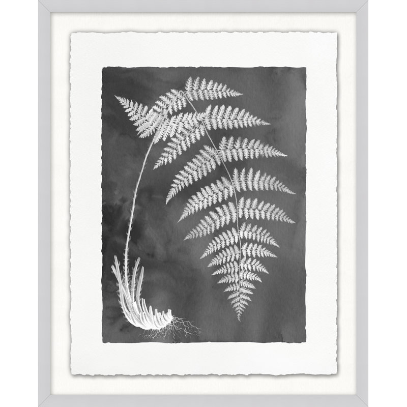 Fernspiration Gray, reproduction d'art graphique encadrée de 8 pi sur verre