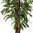 65'' Faux Palm Tree in Stone Planter