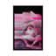 « rosa rosae », impression sur toile-33355296-72399031-72399032