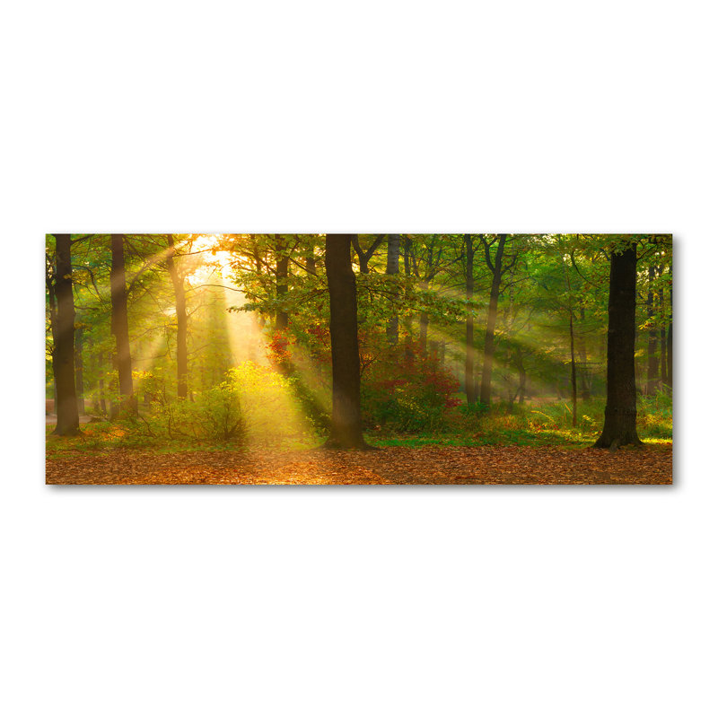 Forest In The Sun - No Frame Print on Canvas