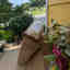 Customer photo 1 of 4