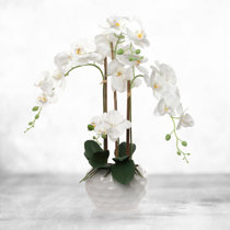 Wayfair  White Winter Faux Flowers You'll Love in 2024