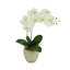 Orchid Faux Floral Arrangement in Vase