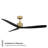 Spinster 60'' Smart Ceiling Fan with LED Light and Bluetooth Remote Control Included-192972115
