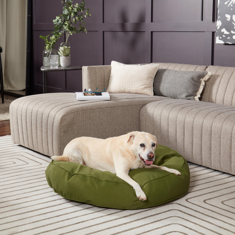 Lit-coussin pour chien Gordie, Grand (l 36 po x P 36 po x H 6 po), Vert