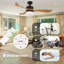 Ventilateur de plafond Geremias 52