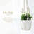 Macrame Plant Hanger Indoor Hanging Planter Basket With Wood Beads Decorative Flower Pot Holder No Tassels For Indoor Outdoor Boho Home Decor 35 Inch, Ivory, Set Of 1 (pots Not Included)
