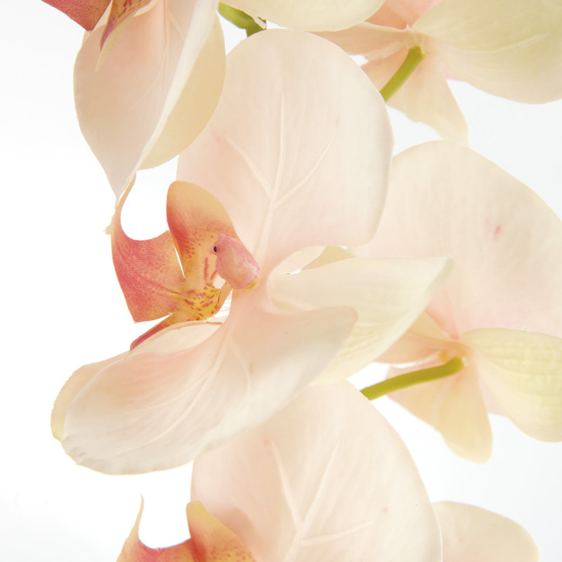 Ensemble de 4 tiges d'orchidées PHALAENOPSIS, Pink