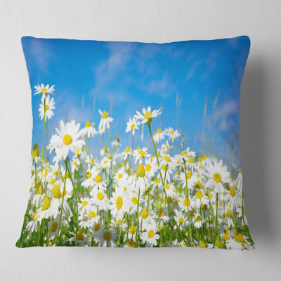 White Daisies under Bright Blue Sky - Floral Daisies Under Sky Pillow