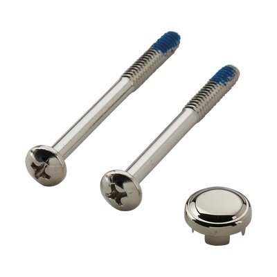 Kingsley Handle Cap and Screw