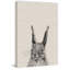 'Grey Rabbit III' Print On Wrapped Canvas-767333763