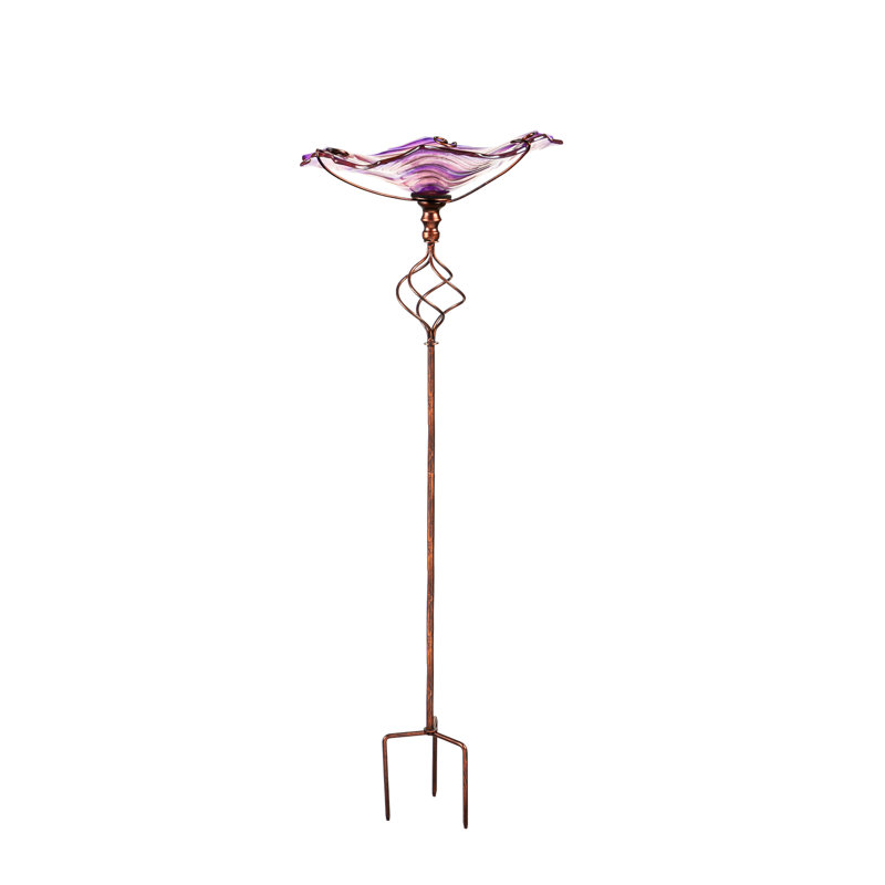 Bain d'oiseaux Amron, Mauve