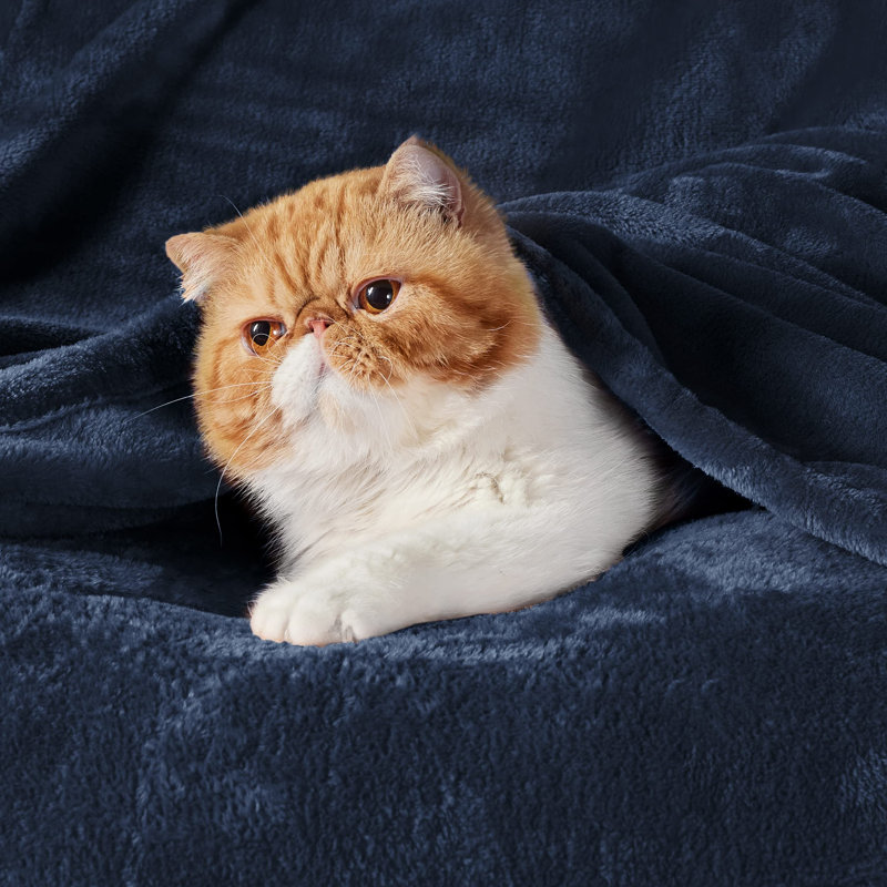 Bedsure Soft Fluffy Fleece Throw Blanket for Sofas&Beds, 150cm x 130cm, Navy Blue