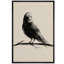 Oiseau gris, peinture à l'encre-102453603-102453604