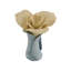 Chelsea Flower- Bisque Pale Yellow