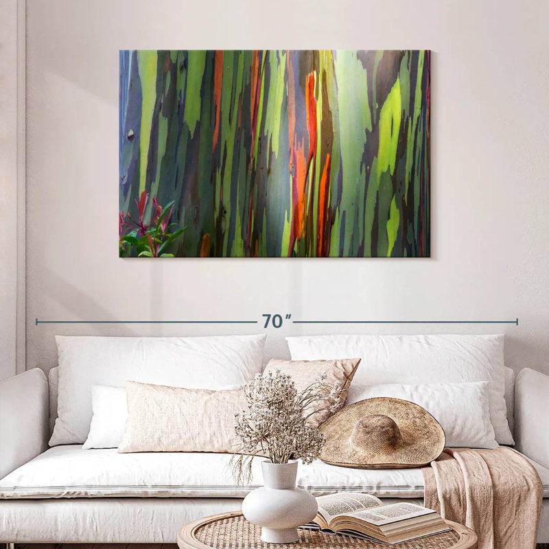 Écorce d'eucalyptus arc-en-ciel, H 30 po x l 45 po