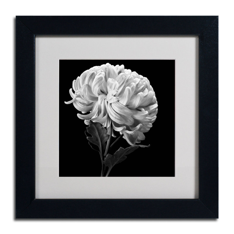 " Mum II " by Michael Harrison, 11" H x 11" W x 0.5" D, Black Framed, White
