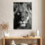 Tête de lion monochromatique Brampt-108229302