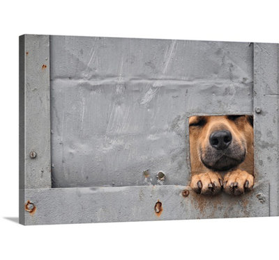 Benji's Window Unframed Photograph on Canvas