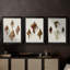 Sowerby Shells IV  -Custom Framed  Wrapped Gallery Canvas - 3 Pieces-1812120310-1812120308