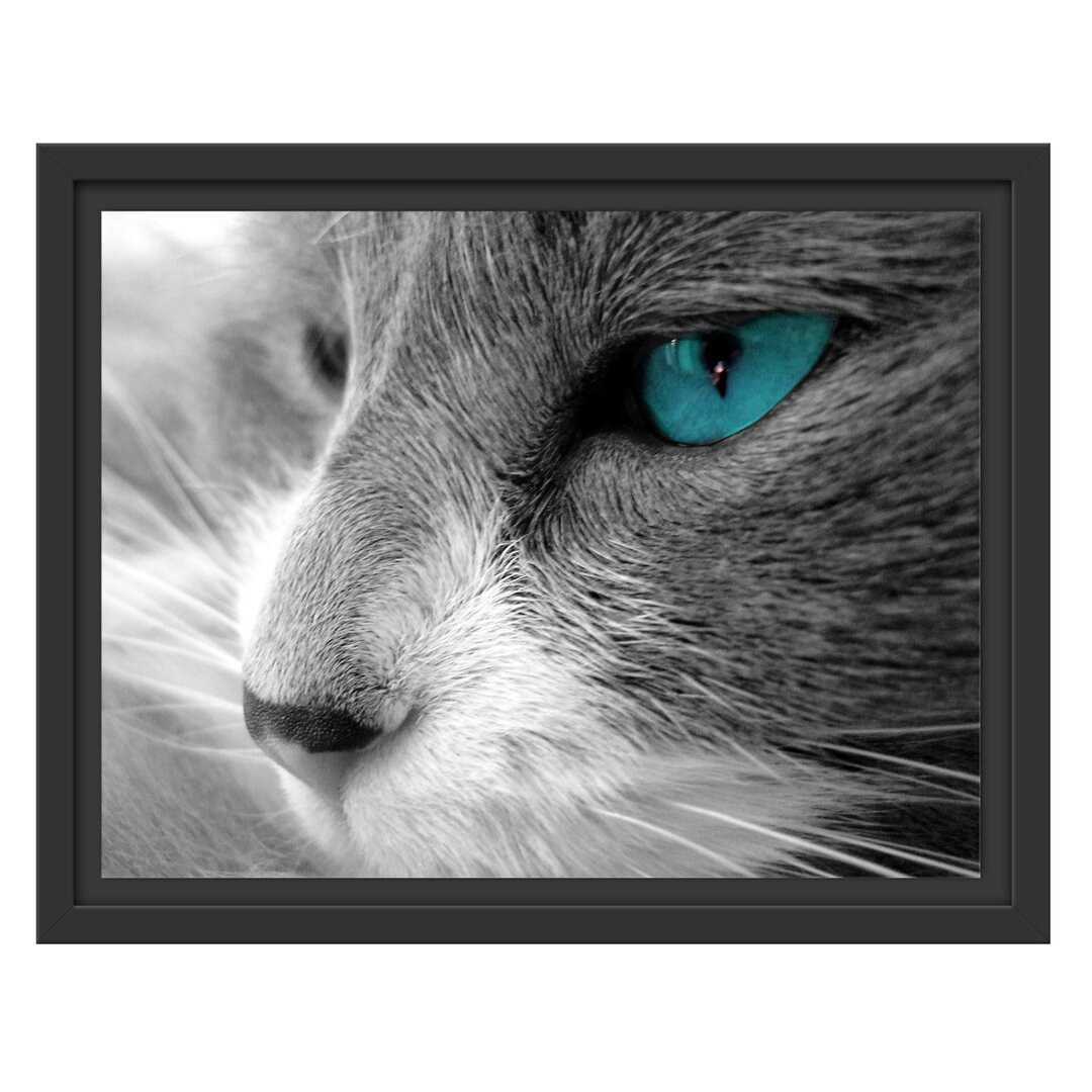 Gerahmtes Wandbild Katze mit Augen