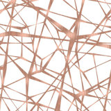 Web Geometric Vinyl Wallpaper Roll by Jamie Graney
