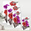 Fleurs rouges et fuchsia - Peinture sur toile-59758220-59787028