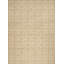 Geometric Area Rug in Beige