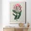 Protea N13 - Peinture sur toile encadrée-267897610-267897842