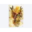 «Autumn's Sun», impression sur toile-29173221-72798485-72798488