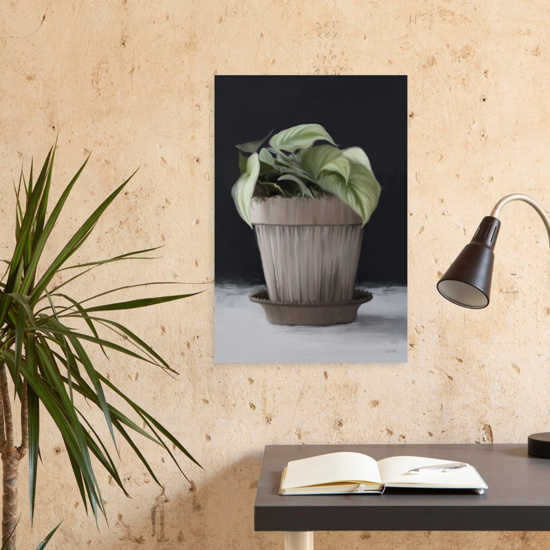 Farmhouse Philodendron, plante contemporaine, H 24 po x l 16 po