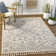Oriental Indoor Rug