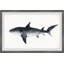 Sandie 'Big Shark' Framed Print-1854955525