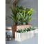 Glass Table Vase